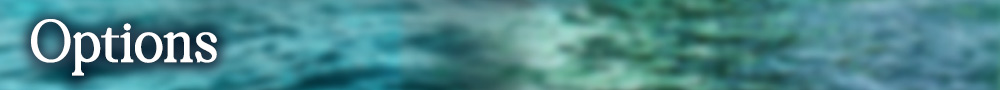 1000x90 Options visuel titre option